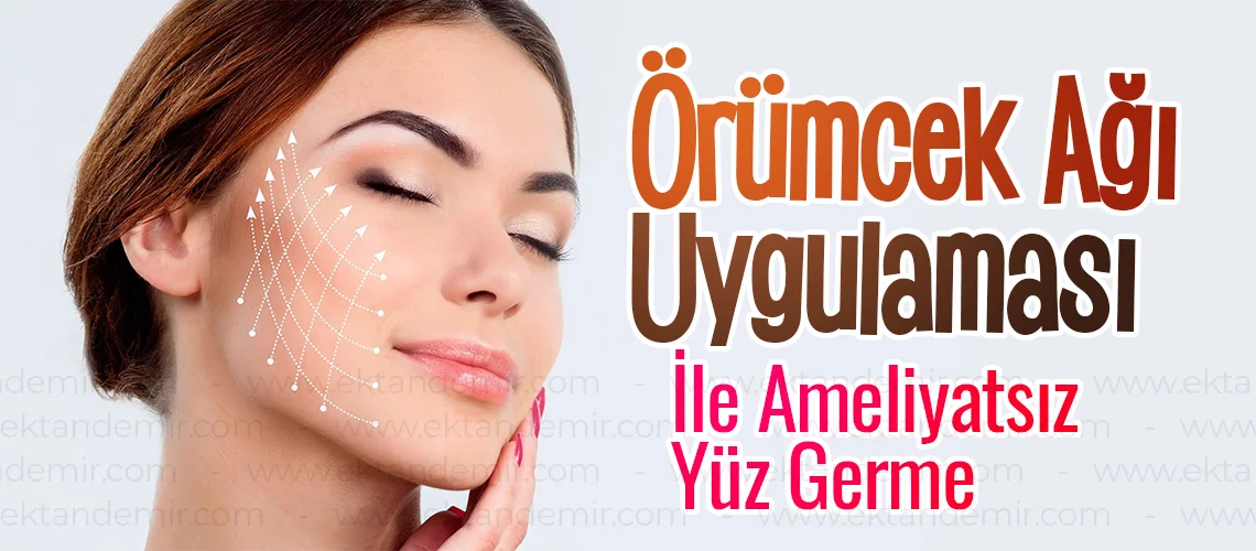 Örümcek Ağı İstanbul