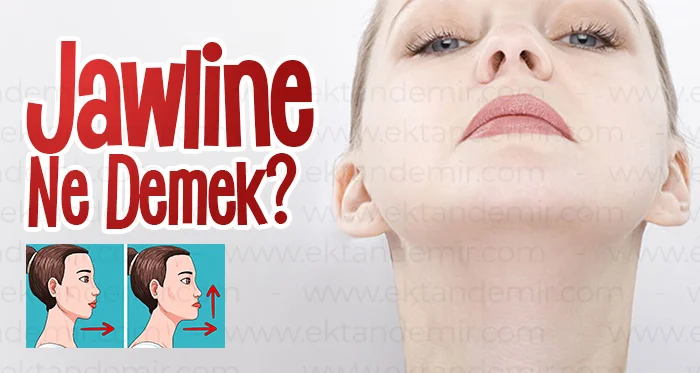 Jawline Ne Demek?
