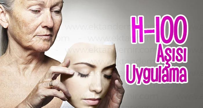 H-100 Aşısı Uygulama